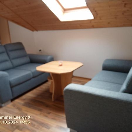 Na Cervene Louce Relax 1 Villa Cheb Bagian luar foto