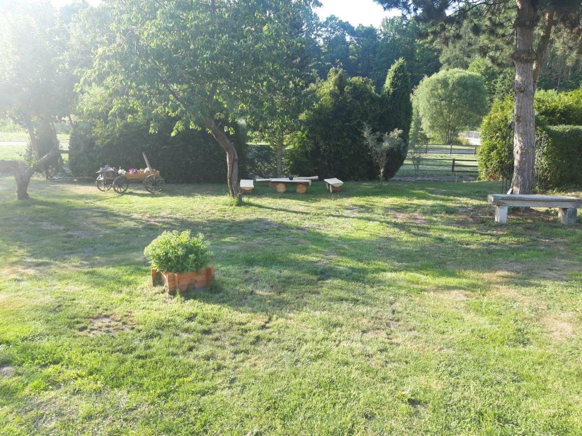 Na Cervene Louce Relax 1 Villa Cheb Bagian luar foto