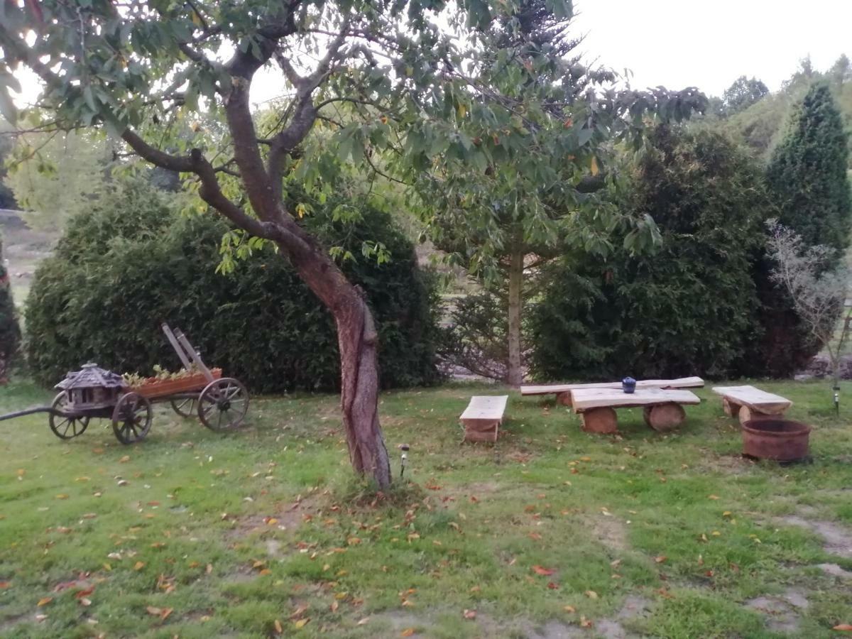 Na Cervene Louce Relax 1 Villa Cheb Bagian luar foto