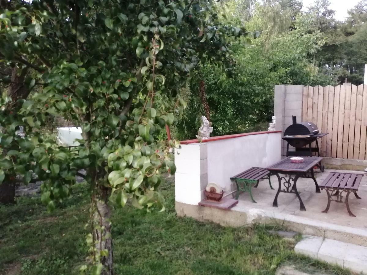 Na Cervene Louce Relax 1 Villa Cheb Bagian luar foto